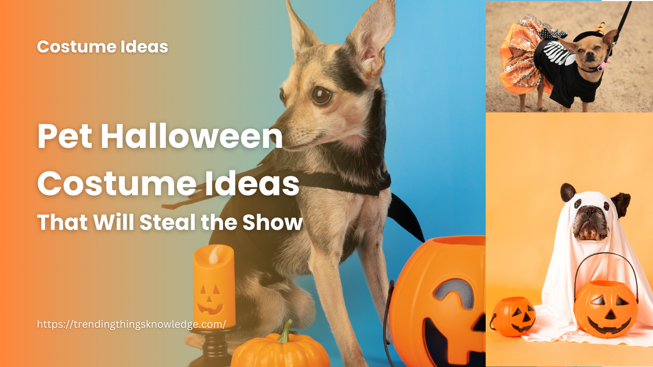 Pet Halloween Costume Ideas That Will Steal the Show